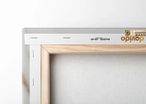 Stampa su tela – Steli di cotone