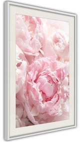 Poster  Abundance of Flowers  Cornice Quadri Cornice nera con pass-partout, Larghezza x Altezza Home decor 20x30