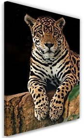 Quadro su tela, Leopardo Animali Natura