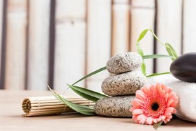 Quadro su tela – Natura morta benessere meditativa