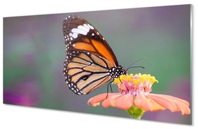Quadro su vetro acrilico Fiore di farfalla colorato 100x50 cm