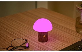 Lampada da tavolo LED bianca/colore naturale scuro (altezza totale 7 cm) Alice Mushroom – Gingko