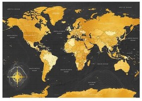 Fotomurale adesivo  Map: Golden World  Larghezza x Altezza Home decor 294x210