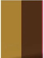 KEK Amsterdam Carta da parati Bold Stripes 1 Uyterlinde - FU-015