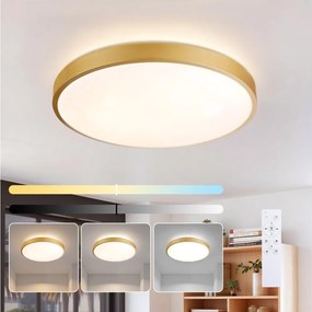 Brilagi - Lampada LED dimmerabile GLASS POOL DOUBLE LED/60W/230V 50 cm dorata + telecomando