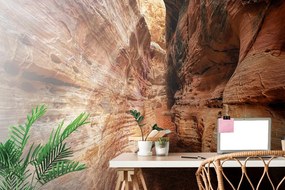 Carta da parati – Sentiero nel Grand Canyon