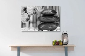 Stampa su tela – Giardino Zen giapponese in bianco e nero