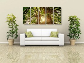 Quadri 5 pezzi – Alberi maestosi