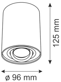 Luce Spot HADAR R1 1xGU10/10W/230V nero