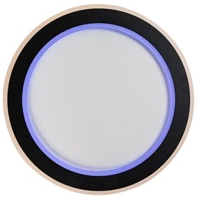 Rabalux 71406 - Plafoniera da soffitto LED dimmerabile GOLWEN LED/22W/230V 3000-6500K + telecomando