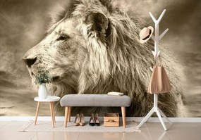 Carta da parati – Leone africano in seppia