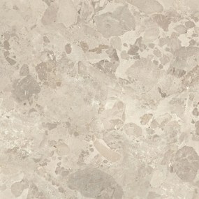 Gres Porcellanato Effetto Pietra Moderno Ceppo di Gré Beige 60x60 - EI6036