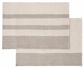 Set di strofinacci in cotone organico 2 pz 50x70 cm Gano – Blomus