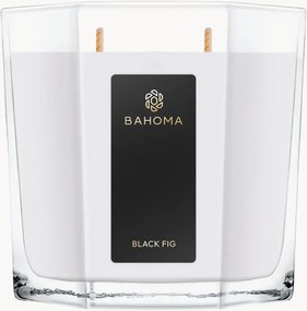 Candela profumata XL versata a mano Black Fig (gelsomino, fico, legno di sandalo)