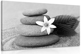 Stampa su tela – Fiore e pietre nella sabbia in bianco e nero