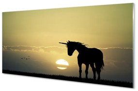 Quadro in vetro Campo unicorno al tramonto 100x50 cm