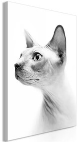 Quadro Hairless Cat (1 Part) Vertical