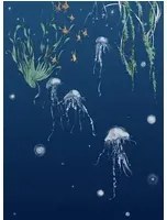 Edmond Petit Carta da parati Nautilus/Méduses/Nénuphars - Marine - Méduses droit - Marine