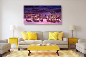 Quadro su tela – Zebre in safari