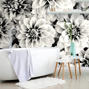 Carta da parati – Fiori di dalia in bianco e nero