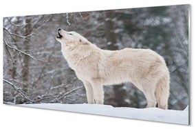 Quadro in vetro Inverno nella foresta del lupo 100x50 cm