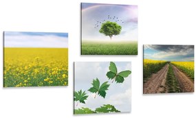 Set di quadri – Natura abbagliante