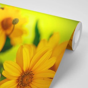 Carta da parati – Bouquet estivo