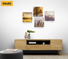 Set di quadri – Bellezze naturali