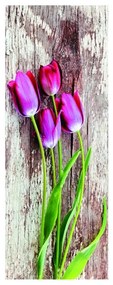 Stampa su tela Violet Tulips, multicolore 60 x 160 cm