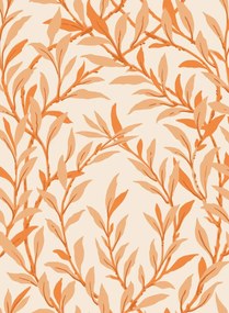 Cole & Son Carta da parati Willow Branch - Tangerine on Cream