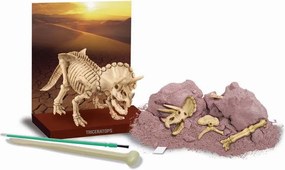 Scavo di un Triceratopo con scheletro pieghevole