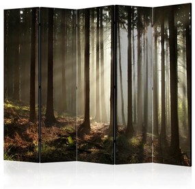 Paravento design Foresta di conifere - Nebbia mattutina II (5 parti) - Alberi alti