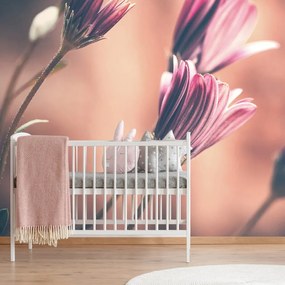 Carta da parati autoadesiva – Delicati fiori rosa
