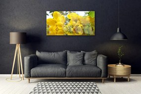 Quadro vetro Fiori Pianta naturale 100x50 cm