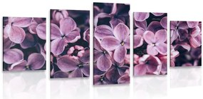Quadri 5 pezzi – Fiori lilla