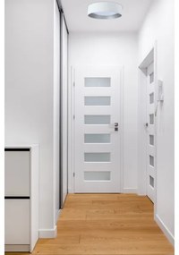 Plafoniera LED GALAXY 24W 230V bianco/argento