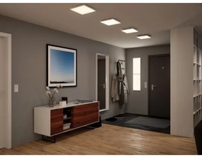 Paulmann 79821 - LED/17W Plafoniera con dimmer VELORA 230V