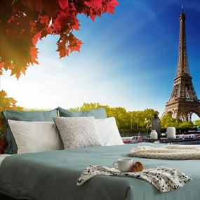 Carta da parati – Parigi autunnale