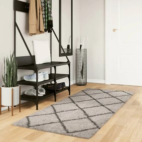 Tappeto Shaggy Pamplona A Pelo Lungo Beige E Antracite 80x200cm /