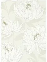 Chrysanthemen Tapete Sebal von Harlequin - Glacier/ Silver