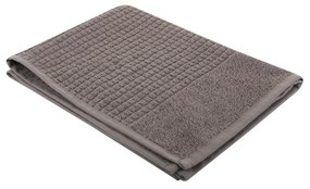 Asciugamano ospite 40x50 cm Wellness grigio