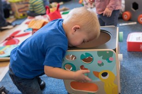 Maxi Looping Multiattività