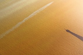 Quadro su tela – Giro del mondo