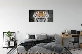 Quadro acrilico Tigre 100x50 cm