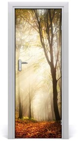 Poster adesivo per porta Foresta in autunno 75x205 cm