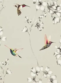 Harlequin Carta da parati Amazilia - Silver