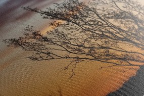 Stampa su tela – Rami al tramonto