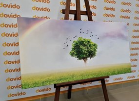 Stampa su tela – Albero solitario nel prato