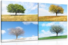 Stampa su tela – Albero nelle stagioni