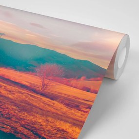 Carta da parati – Campo in atmosfera autunnale